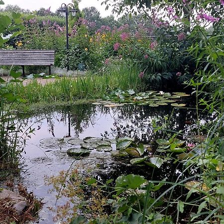 Vakantiehuisje Achter Odiliapeel Kültér fotó