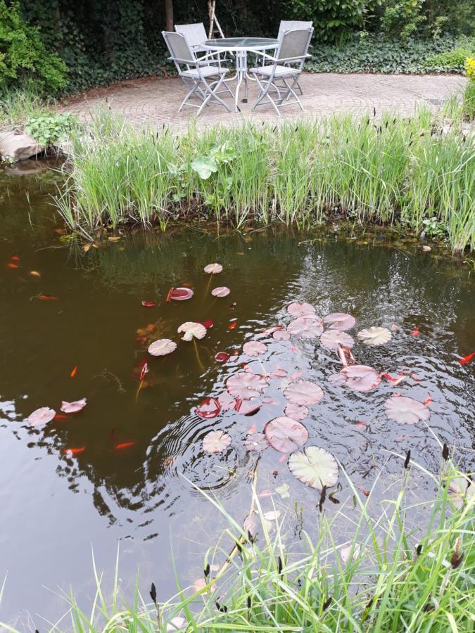 Vakantiehuisje Achter Odiliapeel Kültér fotó